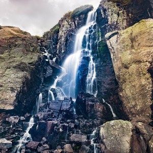 Meet your Posher, Elvis perez